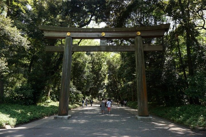 La entrada noreste al parque Yoyogi, con el imponente Torii de madera dando la bienvenida.