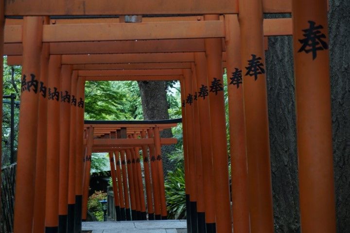 Puertas torii del Templo Gojo-Tenjin, Parque Ueno.