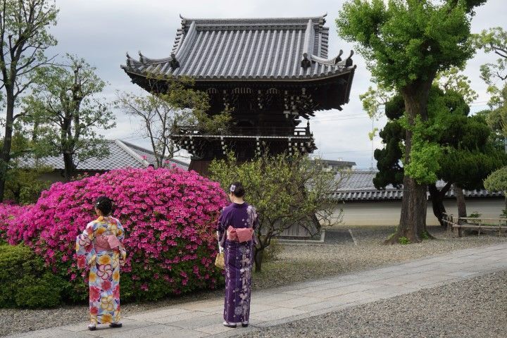 Turistas vestidas con su kimono. Es my común ver a turistas paseando por Kioto con kimono ya que se pueden alquilar por día. 