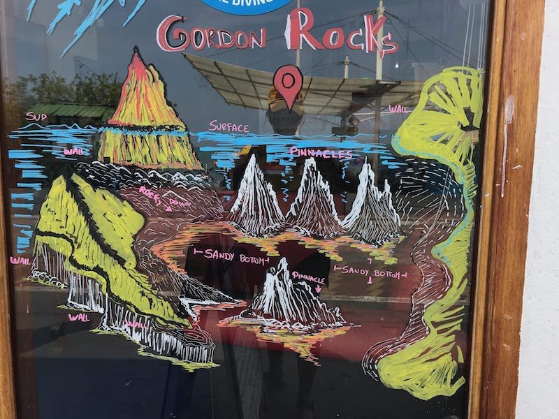Pintada de Gordon Rocks en el escaparate de un centro de Puerto Ayora