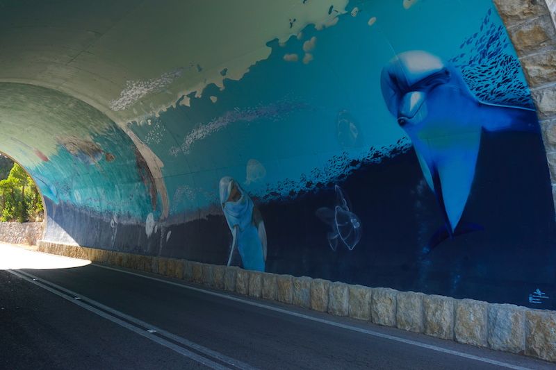 Vete con atención ya que los tuneles que te encontrarás en la Sierra de Arrábida para llegar a Figuerinha ¡tiene arte por dentro!